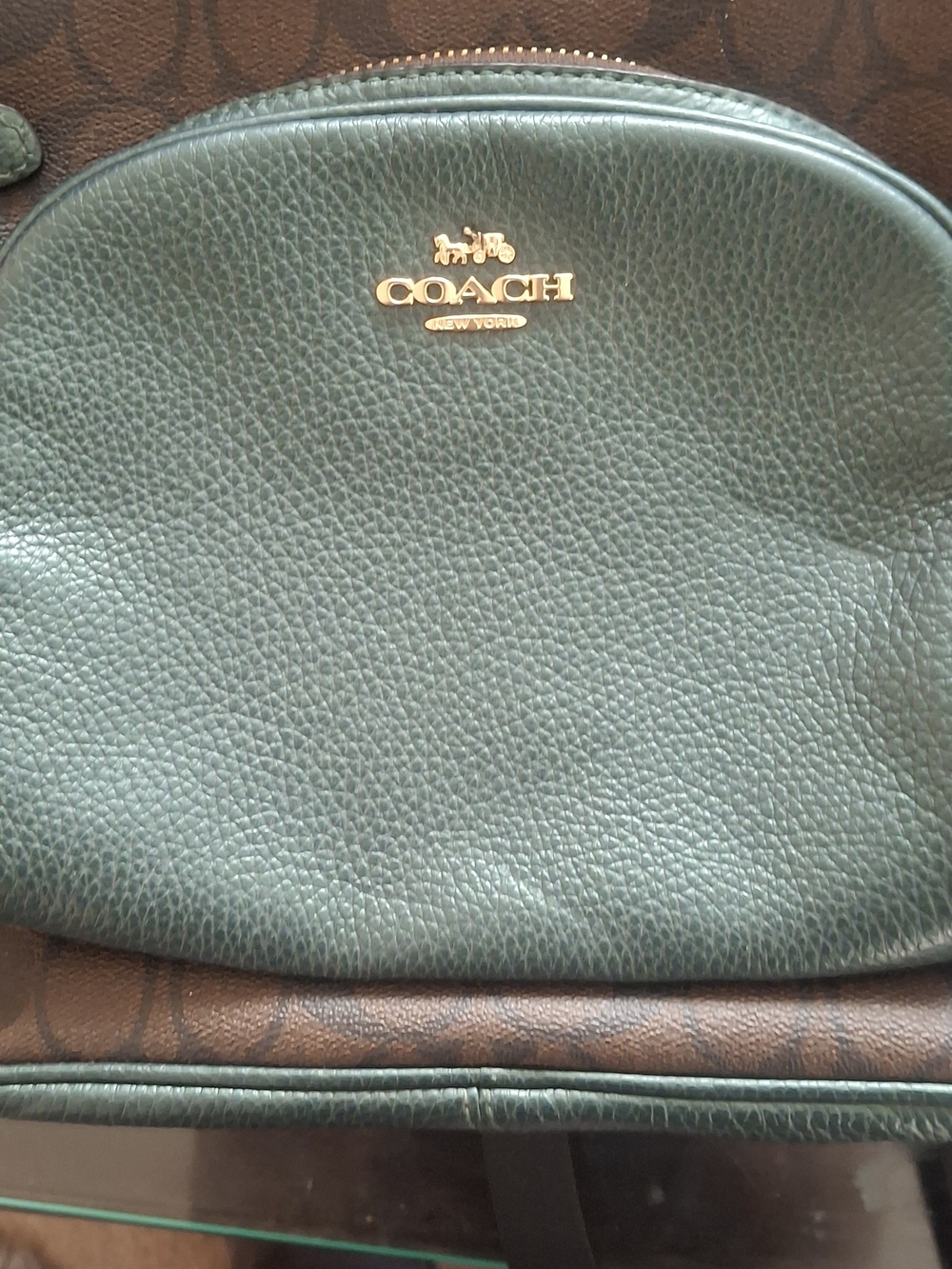 Coach Pebbled Leather Small Backpack — Dark Green